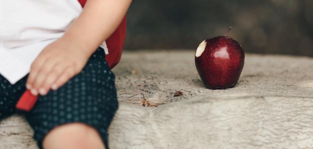 مركب-حمضي-في-قشر-التفاح-يقي-من-السمنة/