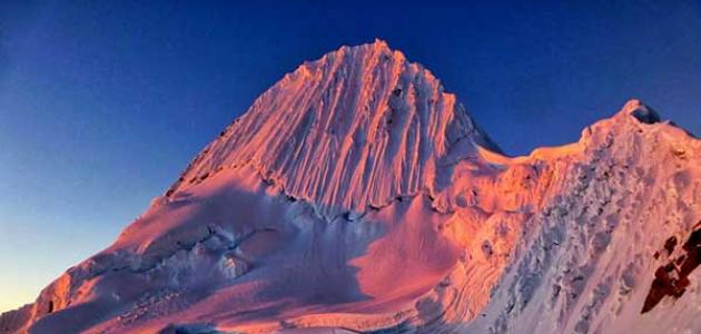 ������� ������ ���� ����� ������ �������_������_��_��