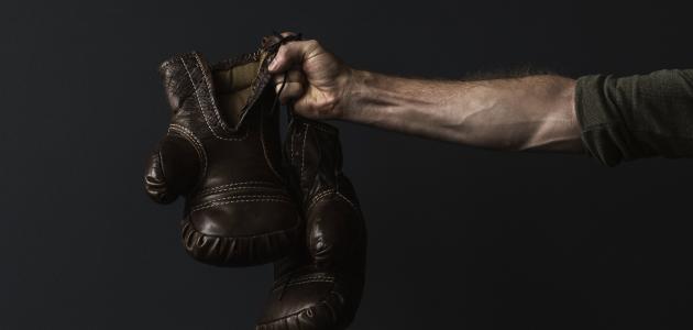 معلومات عامة عن ألعاب القتال