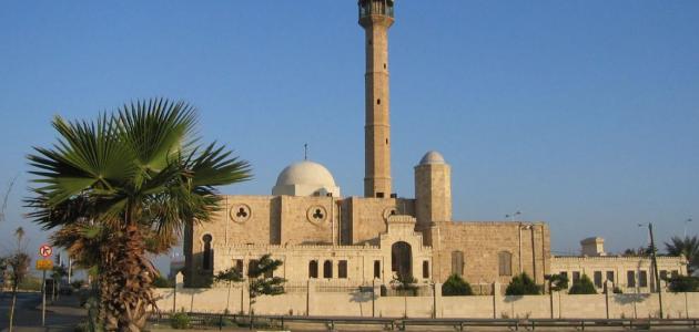 من هي أم البنين
