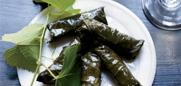 فوائد ورق العنب