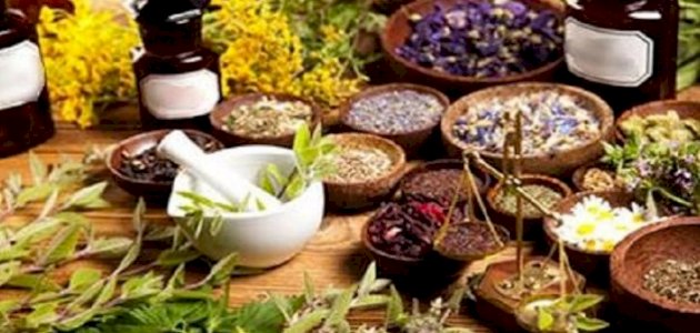 علاج فتق الحجاب الحاجز بالأعشاب: حقيقة أم خرافة قد تضرك؟