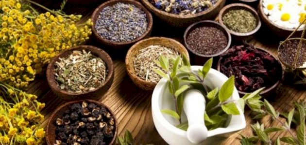 علاج مرض باركنسون بالأعشاب: حقيقة أم خرافة قد تضرك؟