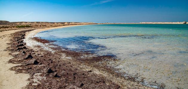 معلومات عن جزر حوار