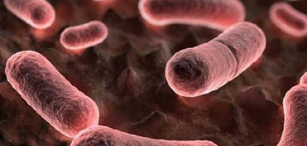 أعراض مرض الطاعون