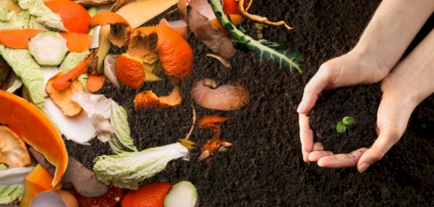 طرق تدبير النفايات المنزلية