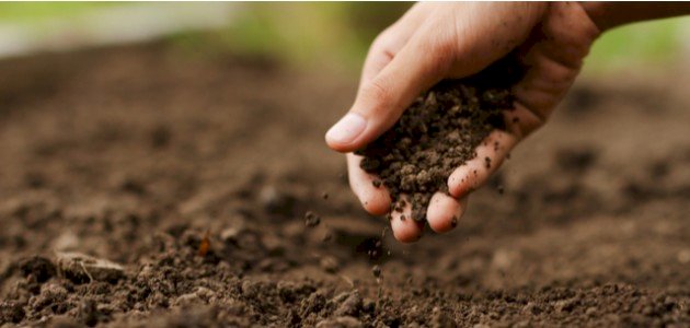 طرق حماية التربة من الإنجراف