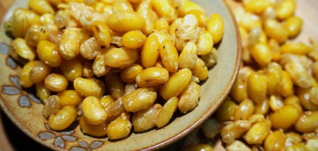 طريقة عمل فول الصويا