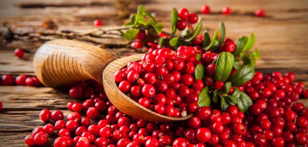 فوائد التوت البري للتخسيس