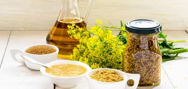 فوائد زيت الخردل للجنس: فوائد مزعومة أم صحيحة علميًّا؟