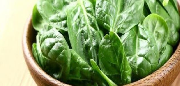 فوائد السلق للجنس