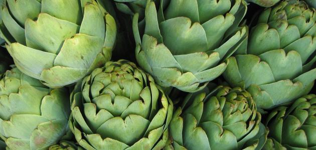 فوائد الخرشوف للكبد: فوائد مزعومة أم صحيحة علميًّا؟