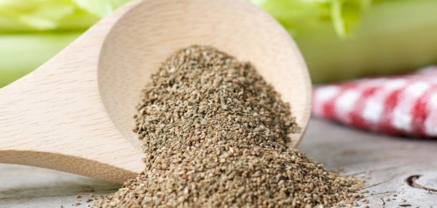 فوائد بذور الكرفس للجنس: فوائد مزعومة أم صحيحة علميًّا؟