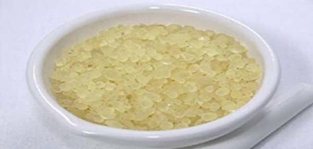 فوائد المستكة للجنس