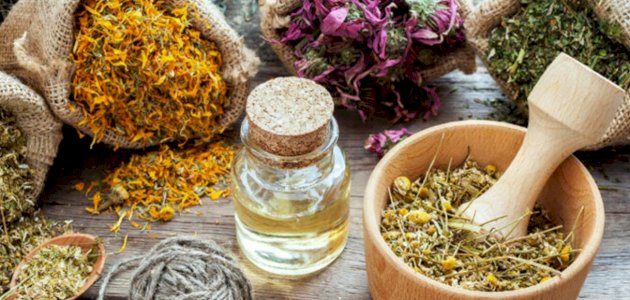 علاج سرطان العظام بالأعشاب: حقيقة أم خرافة قد تضرك؟