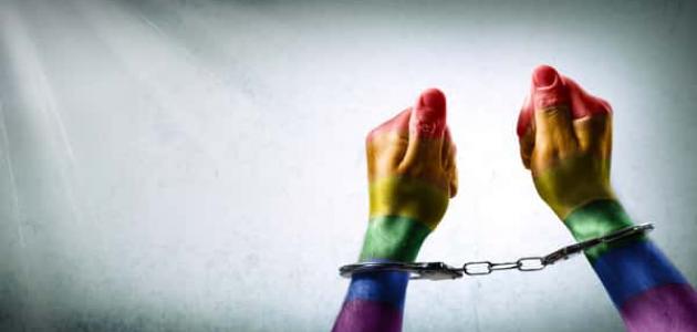 ما هو الشذوذ الجنسي