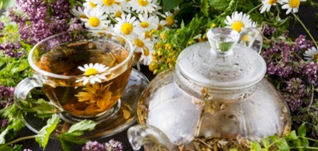علاج حساسية الطعام بالأعشاب: حقيقة أم خرافة قد تضرك؟
