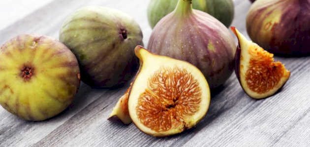 طريقة زراعة التين