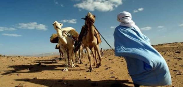 من هم الطوارق