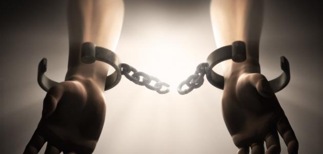 نبذة-عن-رواية-فستق-عبيد/