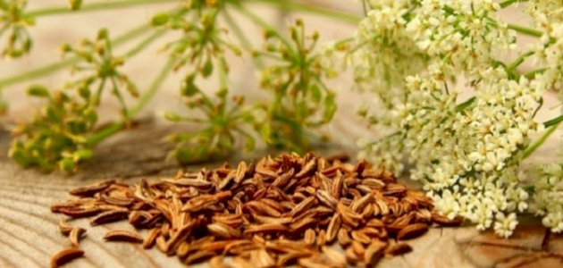 طرد الغازات من الجسم بالأعشاب: ما مدى صحة هذه الطرق؟