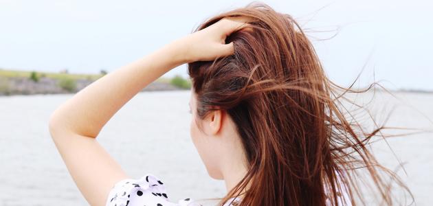 كيفية-تقوية-جذور-الشعر/