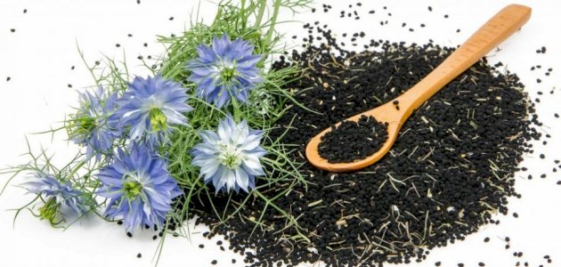 علاج البلهارسيا بالأعشاب: حقيقة أم خرافة قد تضرك؟
