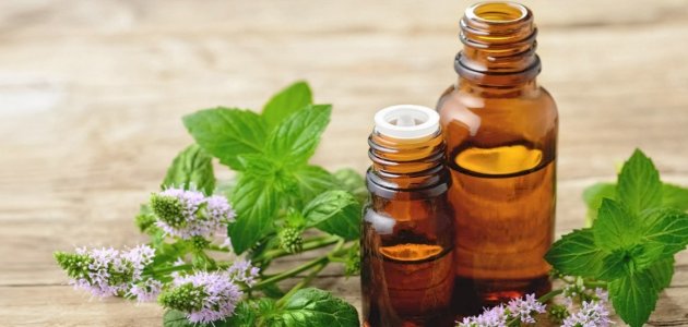علاج ألم الكعب بالأعشاب: هل من طرق علمية مثبتة مخبريًّا وسريريًّا؟