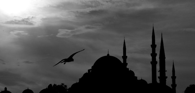 معلومات-عن-دار-الأرقم/