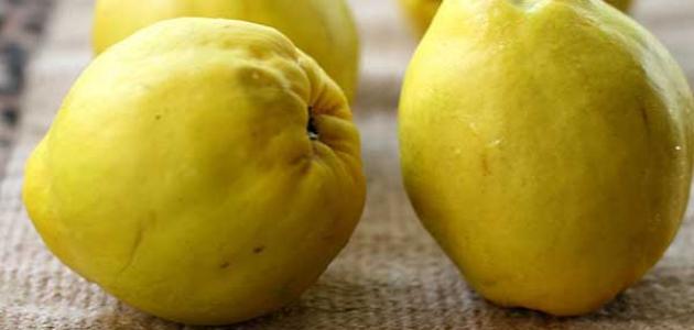 فوائد السفرجل للجنس