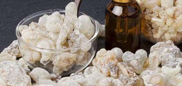 فوائد اللبان الذكر للصدر