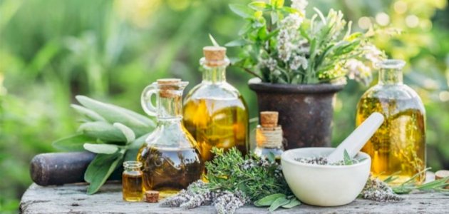 علاج ضمور المخ عند الكبار بالأعشاب: حقيقة أم خرافة قد تضرك؟