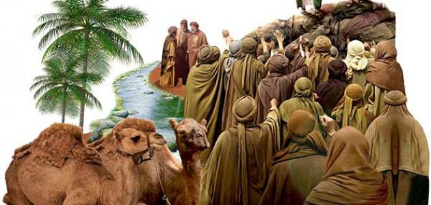 معلومات عن بيعة الغدير