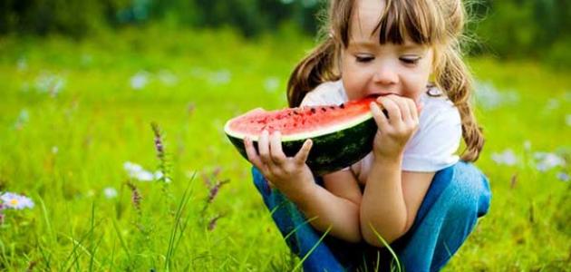 معنى اسم سالي