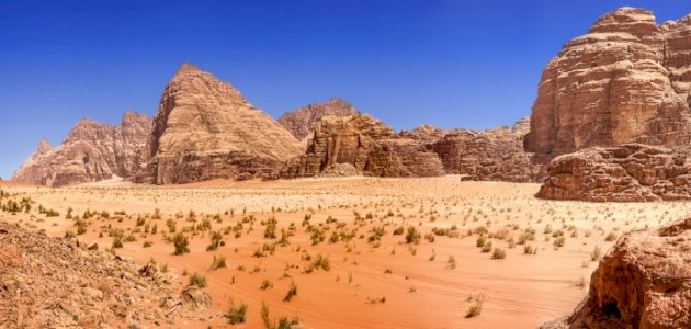 خصائص البيئة الصحراوية