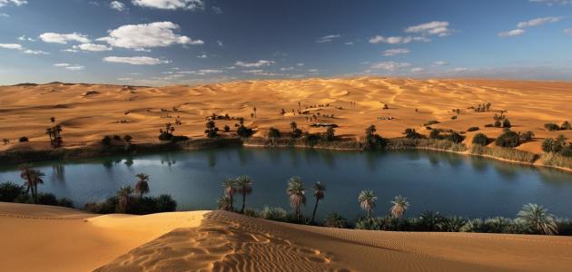 تعريف الواحة