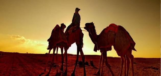 موضوع-عن-الهجرة-النبوية/