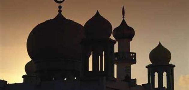 دور أم حبيبة  رضي الله عنها  في الإسلام