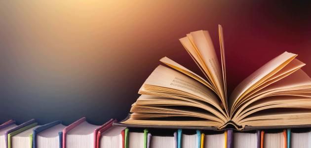 كتب في نظرية الأدب