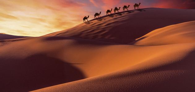 تاريخ العرب قبل الإسلام