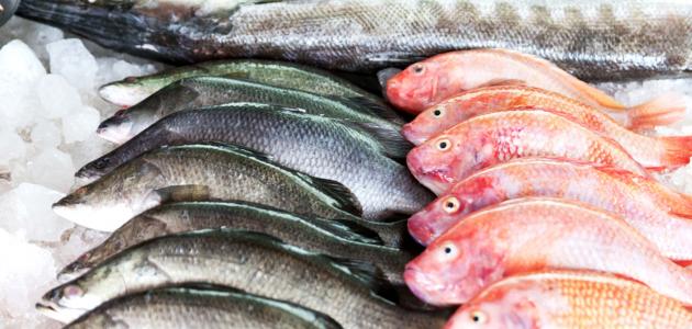 غذاء الاعصاب 