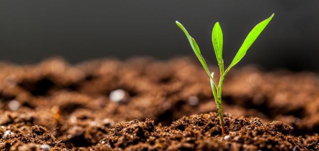 مكونات التربة الزراعية