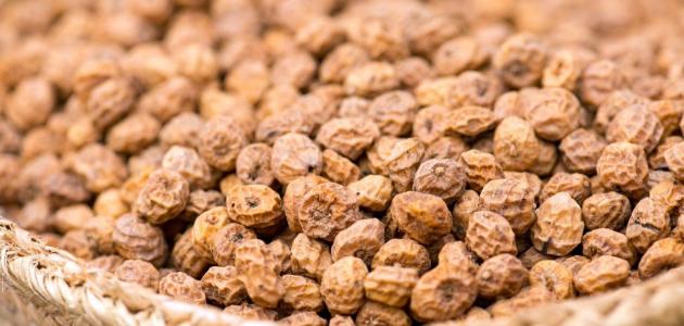 فوائد حب العزيز الصحية العلاجية فوائد حب العزيز الصحية العلاجية