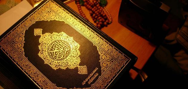 معنى آية: فلما تراءت الفئتان نكص على عقبيه، بالشرح التفصيلي