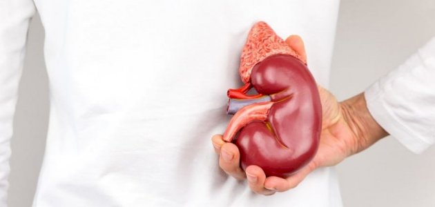دهون الكبد: تعريفها، أعراضها، أسبابها، علاجها، أضرارها
