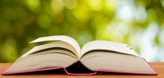 نبذة عن رواية عرس الزين