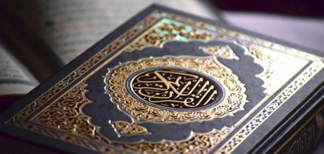 معنى آية: ولن ترضى عنك اليهود ولا النصارى حتى تتبع ملتهم