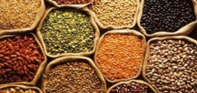حمية غذائية لمريض التفول: ما المسموح وما الممنوع أكله؟