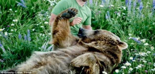 الهضم عند الإنسان والحيوان والنبات: العوامل المشتركة ونقاط الاختلاف