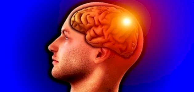 الفص الجداري: موقعه ووظيفته والأمراض التي تصيبه